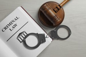Los Angeles Celebrity Criminal Defense Lawyer