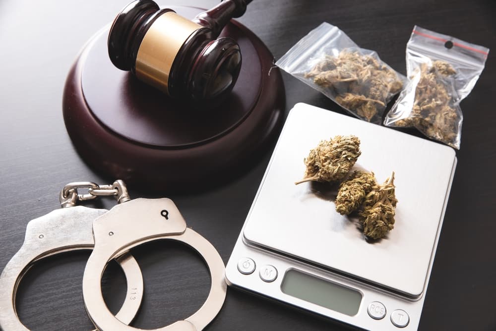 Drug package with hemp. Marijuana bags on scale.